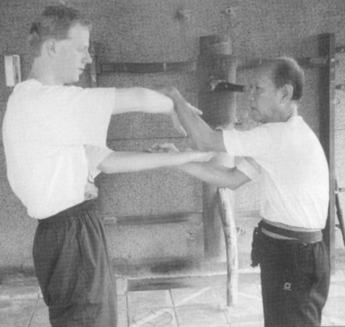 wing chun hand techniques